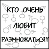 Прикрепленная картинка